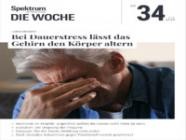 Spektrum Die Woche 34/2025