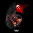 Chase Fetti - iL Leone