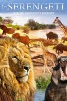 Serengeti.Natures.Greatest.Journey.2015.German.DOKU.WEB.H264-CLASSiCAL