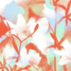 Jonathan Ogden - DAY