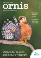 ornis 04/2026