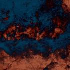 Bella Bites - Desperate