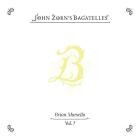 John Zorn feat  Brian Marsella - The Bagatelles Vol  7