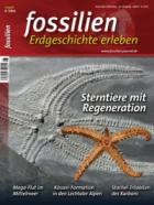 FOSSILIEN - Erdgeschichte erleben 06/2022