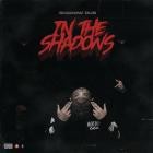 SHADOW DUB - In The Shadows