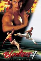 Bloodsport 4 - The Dark Kumite