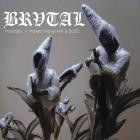 Hidonash x Indirect Movement & BLZS - BHIM