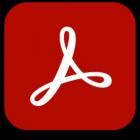 Adobe Acrobat Reader DC 2024.005.20399 (x64)