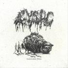 Cystic - Incineration Rites