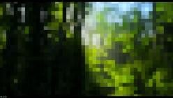 Underdogs.Aussenseiter.des.Tierreichs.S01E05.GERMAN.DL.DOKU.1080p.WEB.h264-HAXE