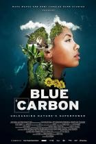 Blue.Carbon.Die.Superkraft.der.Natur.2023.GERMAN.DOKU.720p.WEB.x264-TMSF