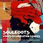 VA - Voices of Liberation Remixes
