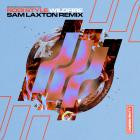 Somna & Rodi Style - Wildfire (Sam Laxton Remix)