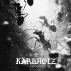 Kaerbholz - Sturm zieh auf