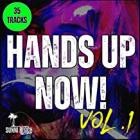 Hands Up Now Vol.1