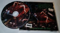 Engorgement-They Rot Beneath Our Floor- COMA196 -CD-FLAC-2026-86D