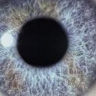 Dan Swanoe-Moontower-REMASTERED-16BIT-WEB-FLAC-2026-FLACCiD