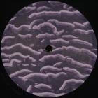 Muzmin - Boojum