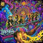 Unlogicz-Paradoxical Dream- PR131 -24BIT-WEB-FLAC-2026-BABAS