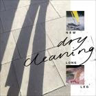 Dry Cleaning-New Long Leg-24BIT-96KHZ-WEB-FLAC-2021-FLACCiD