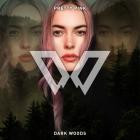 Dark Woods - Type  :  Album