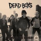 Dead Boys - Down On The Bowery (Live at CBGBs 1978)