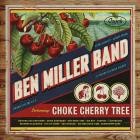 The Ben Miller Band - Choke Cherry Tree