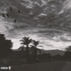 BanditDaMack - Nothing's Wrong