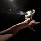 bela - Korean Love Sonnets