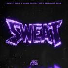 Danny Suko, Chris van Dutch & Benjamin Zane - Sweat