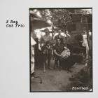 X Ray Cat Trio - Haunted