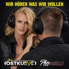 DJ Ostkurve feat  Pia Vanelly - Wir hoeren was wir wollen (Edit)