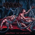 Divulsive - Spawned in Viscera