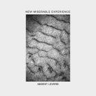 New Miserable Experience-Absent Lovers Remixes and Instrumentals-24BIT-48KHZ-WEB-FLAC-2025-FLACCiD