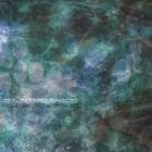 Birdsnake-Biofilter- BTM004 -24BIT-WEB-FLAC-2025-BABAS
