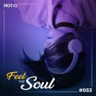 VA - Feel The Soul 053