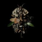 Francesco Fabris - DISPLACES