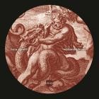 Luca Agnelli - Metamorphosis