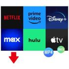 Pazu StreamGet All-In-One Video Downloader v2.9.3