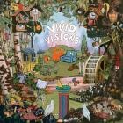 The Expert - Vivid Visions