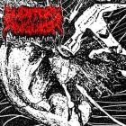 AUDITORY ANGUISH - AFA