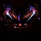 Ombra - NIGHT TERROR