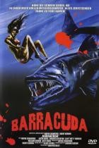 Barracuda