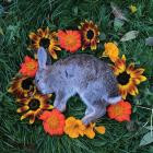 Monolord-Your Time to Shine-24BIT-96KHZ-WEB-FLAC-2021-FLACCiD