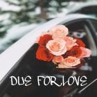 Mac Critter - DUE FOR LOVE