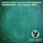 Charlie Bosh feat Gem Harrison - Somebody (To Touch Me)