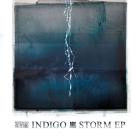 Indigo x Versa-Storm EP- REDSEAL022 -16BIT-WEB-FLAC-2013-BABAS