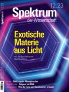 Spektrum Der Wissenschaft 12/2023