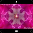 The Purple Turtle - Entwined