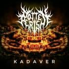 RottenPerish - Kadaver